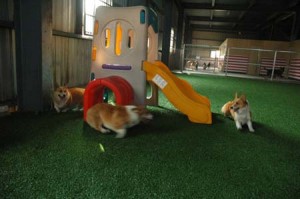 1380943769-1560790703