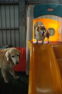 1380943769-3657676281