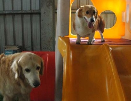 1380943769-3657676281