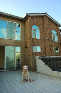 1380943788-2391400416