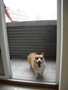 1380943789-2706521294