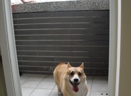 1380943789-2706521294