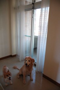 1380943790-1261272349