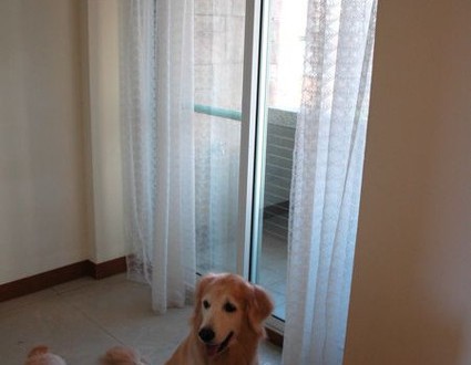 1380943790-1261272349