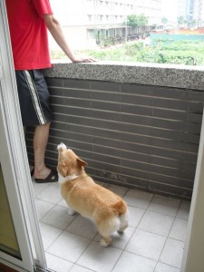 1380943790-2658320849