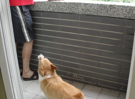 1380943790-2658320849