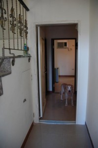 1380943791-2645691746