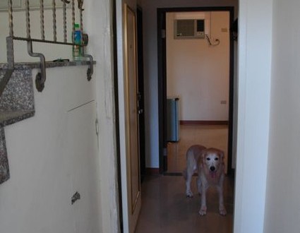 1380943791-2645691746