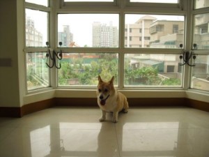 1380943792-3606183631