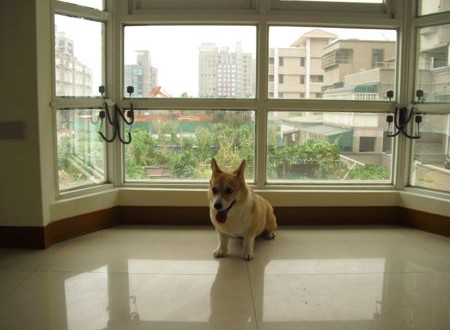 1380943792-3606183631