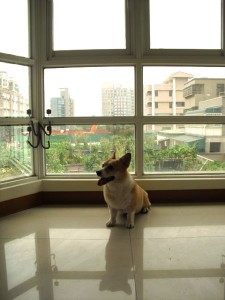 1380943792-3703092236