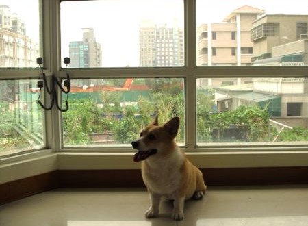 1380943792-3703092236