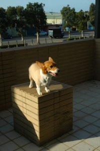 1380943793-1938263474