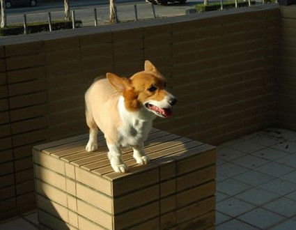 1380943793-1938263474