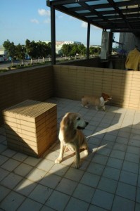 1380943793-2103642658