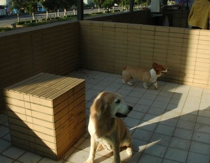 1380943793-2103642658