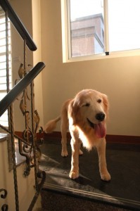 1380943794-1624623381