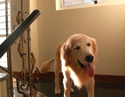 1380943794-1624623381