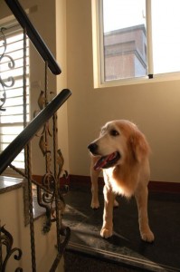 1380943794-2083691845