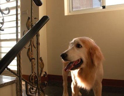 1380943794-2083691845