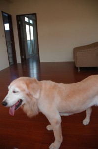 1380943797-2792400431