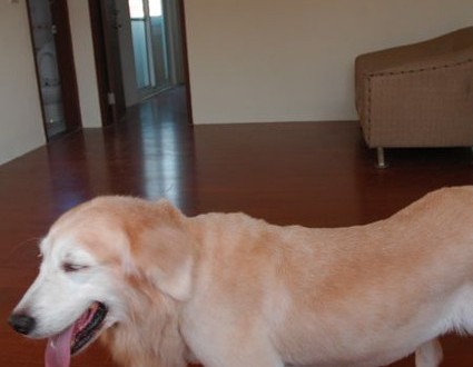 1380943797-2792400431