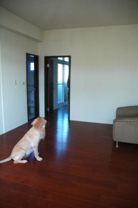 1380943797-3285138001