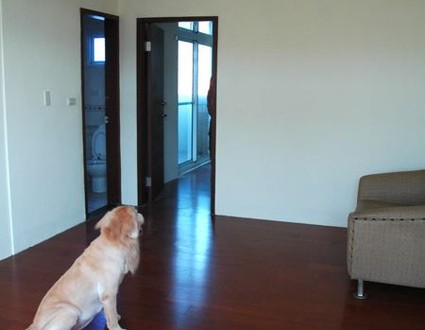 1380943797-3285138001