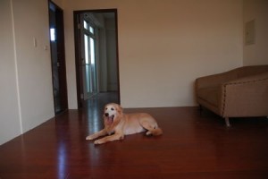 1380943798-1711872993