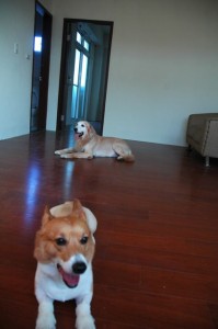 1380943798-2451113178