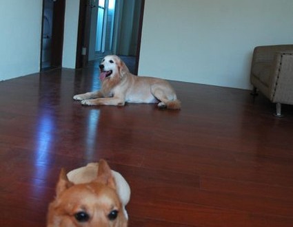 1380943798-2451113178