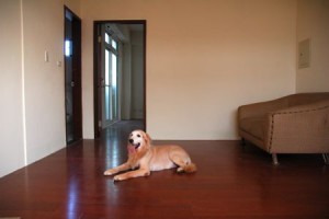 1380943798-3186295495