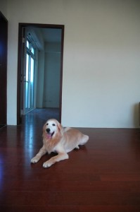 1380943799-1597493181