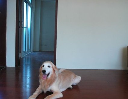 1380943799-1597493181