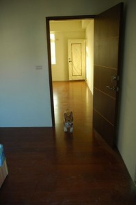 1380943799-654485981