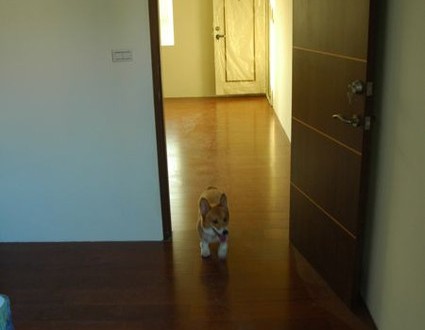 1380943799-654485981