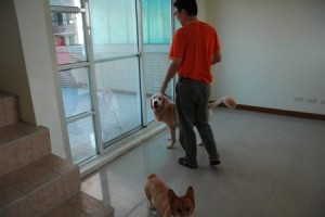 1380943800-1615048868