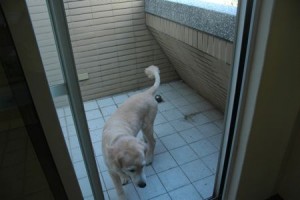 1380943800-2560148279