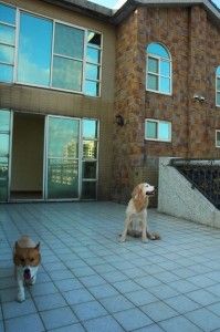 1380943801-1073866093