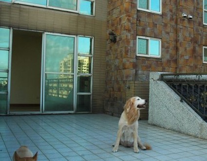 1380943801-1073866093