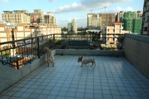 1380943801-2857126185