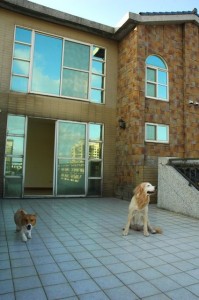 1380943801-3828918281