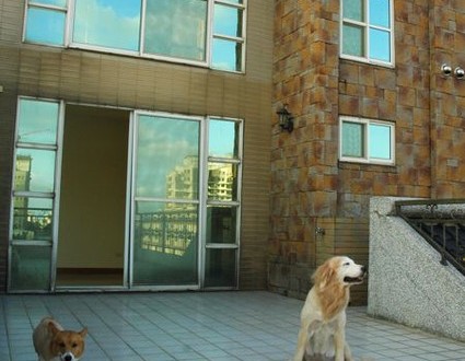 1380943801-3828918281