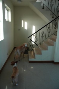 1380943803-2274497951