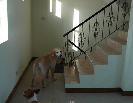 1380943803-2274497951