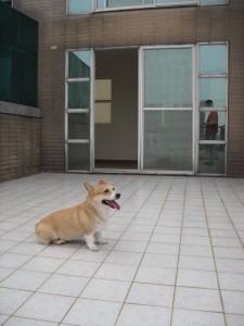 1380943803-921549712