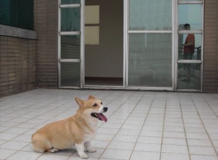 1380943803-921549712