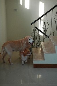 1380943804-2026712352