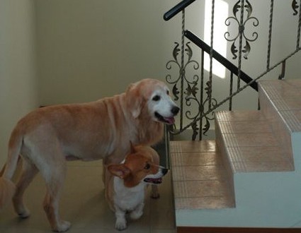 1380943804-2026712352