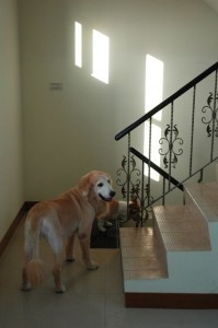 1380943804-3612567285